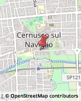 Impianti Antifurto e Sistemi di Sicurezza Cernusco sul Naviglio,20063Milano