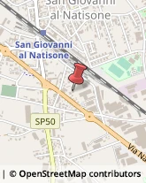 Piante e Fiori - Ingrosso San Giovanni al Natisone,33048Udine