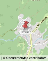 Farmacie Cesara,28891Verbano-Cusio-Ossola