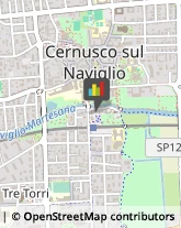 Grissini Cernusco sul Naviglio,20063Milano