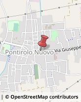 Piante e Fiori - Ingrosso Pontirolo Nuovo,24040Bergamo