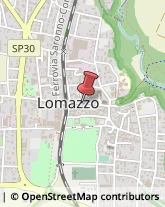 Rosticcerie e Salumerie Lomazzo,22074Como