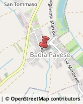 Farmacie Badia Pavese,27010Pavia