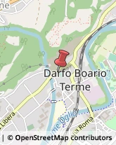 Bulbi e Sementi Darfo Boario Terme,25047Brescia