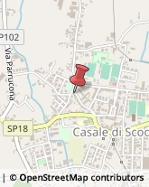 Agopuntura Casale di Scodosia,35040Padova