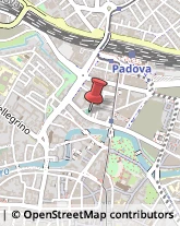 Partiti e Movimenti Politici Padova,35131Padova