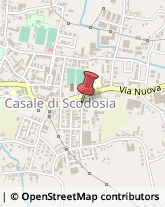 Biciclette - Dettaglio e Riparazione Casale di Scodosia,35040Padova