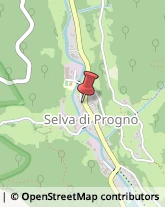 Alimentari Selva di Progno,37030Verona