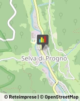 Alimentari Selva di Progno,37030Verona