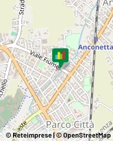 Acquari ed Accessori Vicenza,36100Vicenza