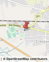 Autotrasporti Crescentino,13044Vercelli