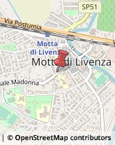 Agrumi Motta di Livenza,31045Treviso