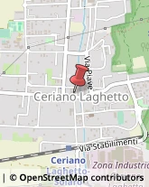 Agenti e Rappresentanti di Commercio Ceriano Laghetto,20020Monza e Brianza