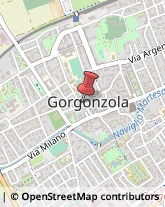 Articoli per Ortopedia Gorgonzola,20064Milano