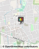 Assicurazioni Pandino,26025Cremona