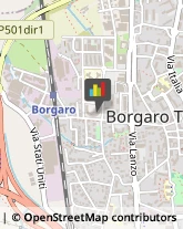 Alberghi Borgaro Torinese,10071Torino