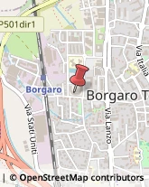 Alberghi Borgaro Torinese,10071Torino