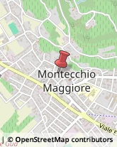 Scuole e Corsi di Lingua Montecchio Maggiore,36075Vicenza