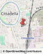 Traduttori ed Interpreti Cittadella,35013Padova