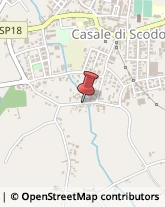 ,35040Padova