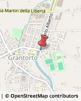 Consulenza di Direzione ed Organizzazione Aziendale Grantorto,35010Padova