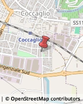 Assicurazioni Coccaglio,25030Brescia