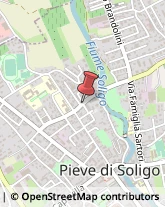 Traduttori ed Interpreti Pieve di Soligo,31053Treviso