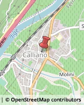 Geometri Calliano,38060Trento