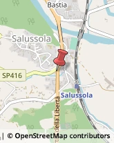 Autofficine e Centri Assistenza,13885Biella