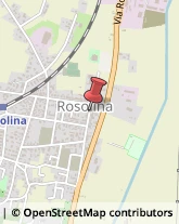 Tour Operator e Agenzia di Viaggi Rosolina,45010Rovigo