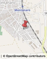 Autotrasporti Montanaro,10017Torino