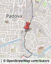 Logopedia Padova,35123Padova