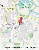 Autofficine e Centri Assistenza Gravellona Lomellina,27020Pavia