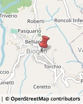 ,13841Biella