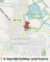 Farmacie Gravellona Lomellina,27020Pavia