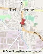 Tabaccherie Trebaseleghe,35010Padova