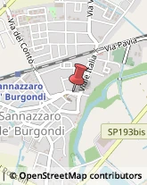 ,27039Pavia