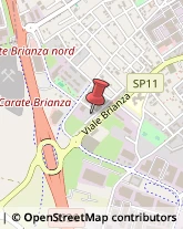 Palestre e Centri Fitness Carate Brianza,20841Monza e Brianza