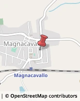 Autotrasporti Magnacavallo,46020Mantova