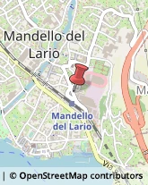 Bulbi e Sementi Mandello del Lario,23826Lecco