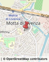 Articoli per Ortopedia Motta di Livenza,31045Treviso