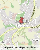 Spezie Monticello Brianza,23876Lecco