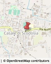 Pasticcerie - Dettaglio Casale di Scodosia,35040Padova