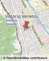 Imprese di Pulizia Vittorio Veneto,31029Treviso