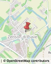 Scuole Pubbliche Zenson di Piave,31050Treviso