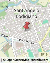 Agenti e Rappresentanti di Commercio Sant'Angelo Lodigiano,26866Lodi