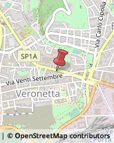 Forni per Panifici, Pasticcerie e Pizzerie Verona,37129Verona