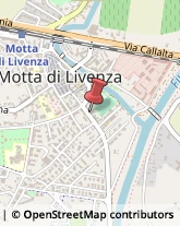 Agenti e Rappresentanti di Commercio Motta di Livenza,31045Treviso