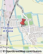 ,27010Pavia