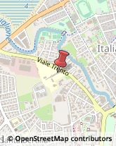 Licei - Scuole Private Vicenza,36100Vicenza